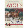 Red Sky Storm: A Story of the Civil War