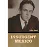 Insurgent Mexico