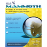 Math Mammoth Grade 8 Tests and Cumulative Reviews