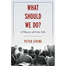 What Should We Do?: A Theory of Civic Life