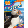 Puffins
