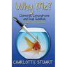 Why Me? Chimeras, Conundrums and Dead Goldfish: A Quirky Cozy Mystery Whodunit