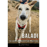 Baladi: The Journey of an Egyptian Street Dog