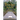 A Bridge Between