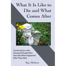 What It Is Like to Die and What Comes After: Conversations with Deceased People Who Describe What Happened After They Died