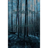 The Fading Place