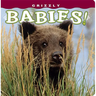 Grizzly Babies!