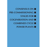 Consensus on Pre-Commissioning Stages for Cogeneration and Combined Cycle Power Plants