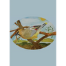 The Stone Soup Sketchbook (small): Sierra Glassman - Cedar Waxwing - unlined