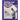 Voting and Elections