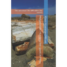Megalodon: Hunting the giant in Peru: The adventure, the difficulties, the sucess