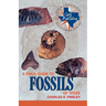 A Field Guide to Fossils of Texas