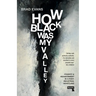 How Black Was My Valley: Poverty and Abandonment in Post-Industrial Wales