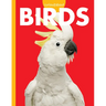 Curious about Birds