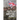 The Rise and Fall of the British Army, 1975-2025