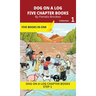 Five Chapter Books 1: Decodable Series for Students Learning to Read. For Beginning Readers and Students with Dyslexia. (Step 1-All Letters plus Conso