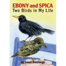 Ebony and Spica: Two Birds in My Life