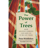 The Power of Trees: How Ancient Forests Can Save Us If We Let Them