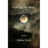 Catching the Moon