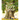 Through the Fairy Door: A Picture Book