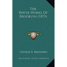The Water Works of Brooklyn (1873)