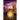Spire Of Fools