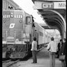Passenger Train Photographs: Taken in Michigan and Ontario During the Last Quarter of the Twentieth Century - All in Black and White