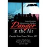 Danger in the Air: Federal Aviation Administration Blunders