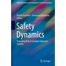 Safety Dynamics: Evaluating Risk in Complex Industrial Systems