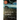 Foregone