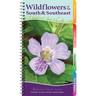 Wildflowers of the South & Southeast: Your Way to Easily Identify Wildflowers