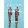 A Geometry of Snowflakes
