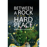 Between a Rock and a Hard Place: Public Theology in a Post-Secular Age