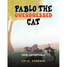 Pablo the Overdressed Cat
