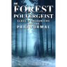 The Forest Poltergeist: Class B Encounters and the Paranormal