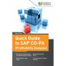 Quick Guide to SAP CO-PA (Profitability Analysis)