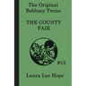 The Bobbsey Twins at the County Fair
