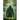 Eo's Realm: Eo's Tales - The Legends of Sasquatch, Book One