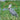 The Wonderful World of Shoebill Storks: Interesting Facts About Shoebill Storks