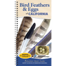Bird Feathers & Eggs of California: Identify 40 Species of Common Backyard Birds