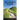 Pilgrim's Path: A Study of the Psalms