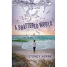 A Shattered World