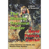 The Missing Treasure Hunter: A Shay Hamilton, Lori Mysek, and Winslow Doyle Mystery
