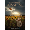 November Sunshine