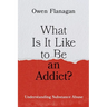 What Is It Like to Be an Addict?: Understanding Substance Abuse