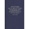 Anatomy of a Splitting Borderline: Description and Analysis of a Case History