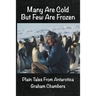 Many are Cold but Few are Frozen: Plain tales from Antarctica