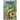 Sasquatch