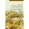 Advances in Rice Cultivation: A Complete Guide on Rice