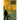 2025 City of Gold